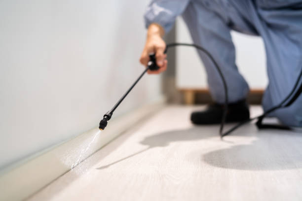 Licensed Pest Control service in Upton, WY - Show Me Pest Control