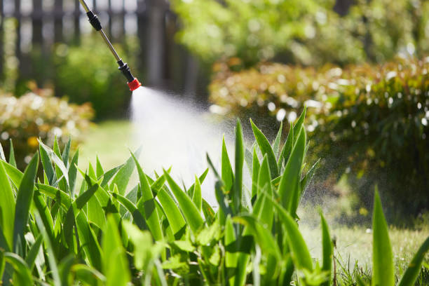 24/7 Emergency Ant Control experts in Upton, WY